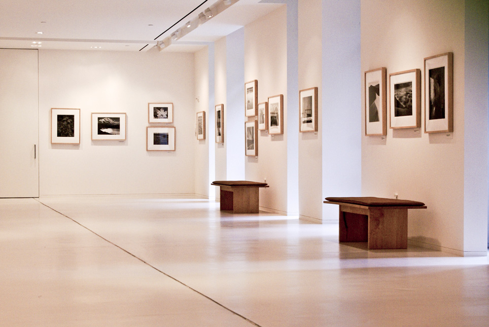 gallery gallery